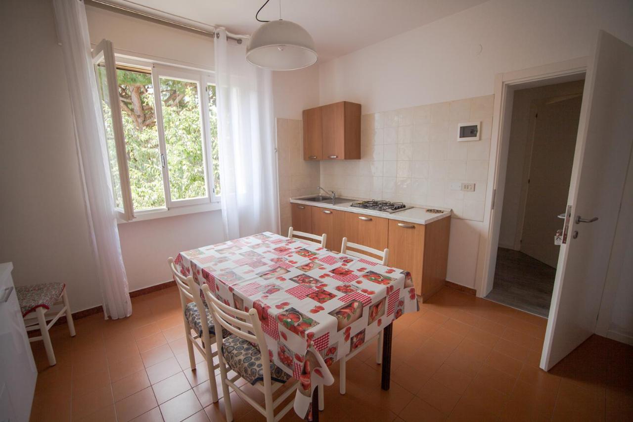 Apartment & Luca Angiolin *